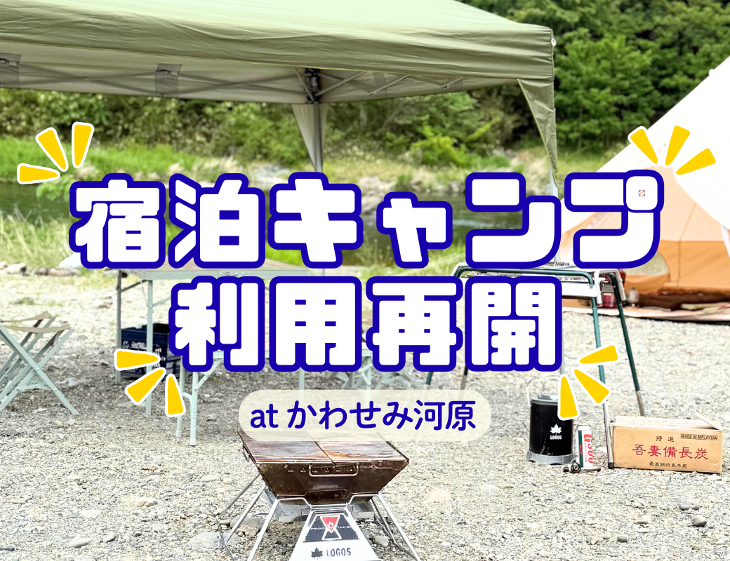 【2026年最新】寄居町・かわせみ河原で宿泊キャンプが解禁！手ぶらBBQやレンタルで春のアウトドアを満喫
